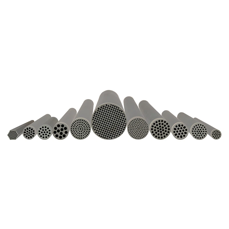 ממברנה צינורית SiC